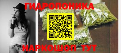 мяу мяу мука Моздок