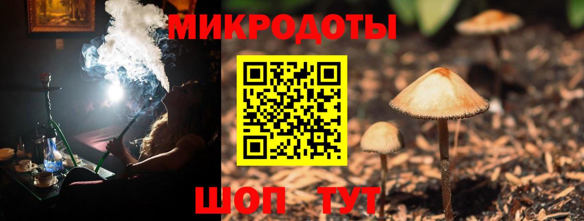 Галлюциногенные грибы Psilocybe  Вход с VPN  Галлюциногенные грибы Psilocybine cubensis  Сосновоборск 