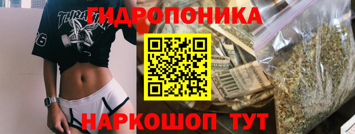 Конопля Amnesia Сосновоборск